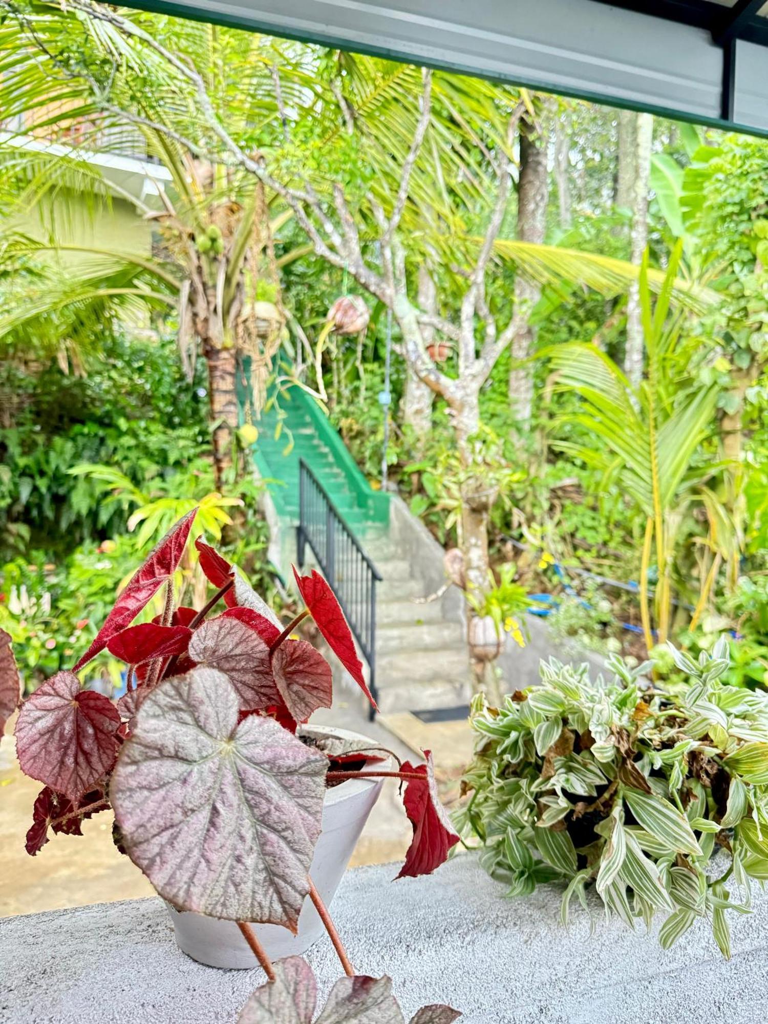Rock View Cottage Ella Luaran gambar